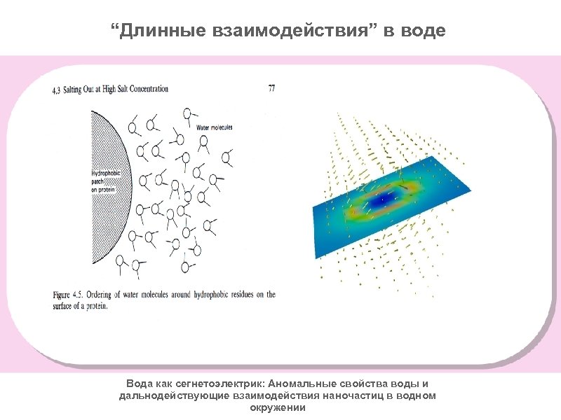 “Длинные взаимодействия” в воде Вода как сегнетоэлектрик: Аномальные свойства воды и дальнодействующие взаимодействия наночастиц
