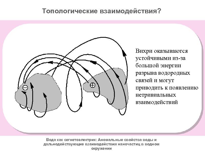 Топологические взаимодействия? Вихри оказываются устойчивыми из-за большой энергии разрыва водородных связей и могут приводить