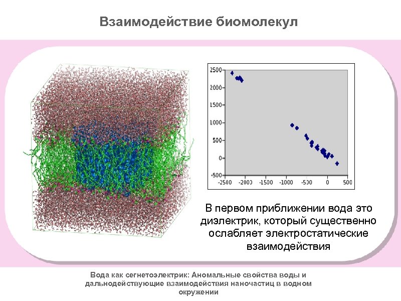 Взаимодействие биомолекул В первом приближении вода это диэлектрик, который существенно ослабляет электростатические взаимодействия Вода