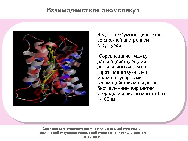 Взаимодействие биомолекул Вода – это “умный диэлектрик” со сложной внутренней структурой. “Соревнование” между дальнодействующими