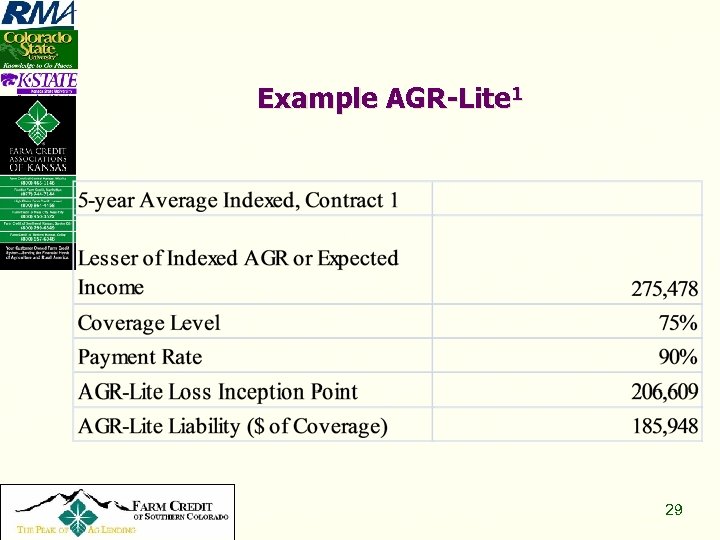 Example AGR-Lite 1 Copyright 2008, All Rights Reserved 29 