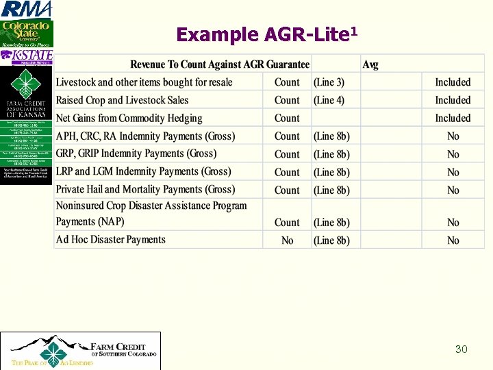 Example AGR-Lite 1 Copyright 2008, All Rights Reserved 30 