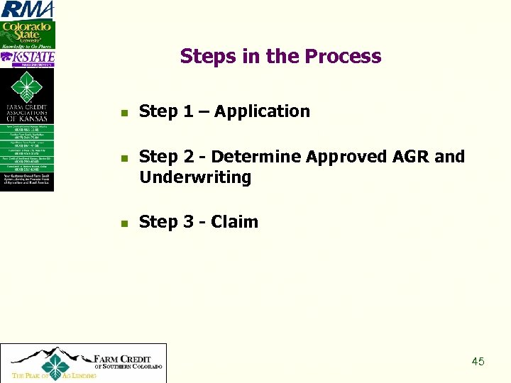 Steps in the Process n n n Copyright 2008, All Rights Reserved Step 1