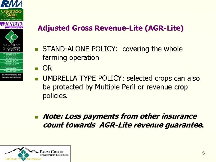 Adjusted Gross Revenue-Lite (AGR-Lite) n n Copyright 2008, All Rights Reserved STAND-ALONE POLICY: covering