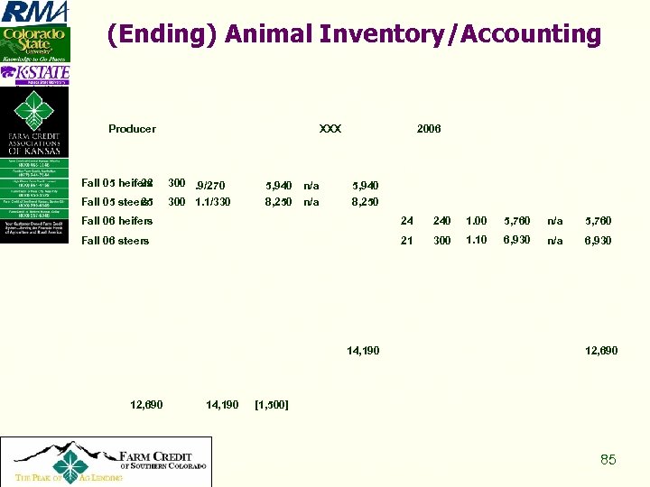 (Ending) Animal Inventory/Accounting Producer Fall 05 heifers 22 Fall 05 steers 25 XXX 300.