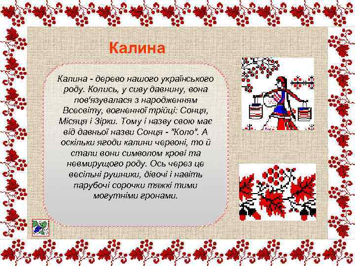 Калина - дерево нашого українського роду. Колись, у сиву давнину, вона пов'язувалася з народженням