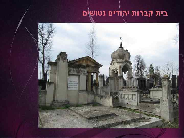  בית קברות יהודים נטושים 