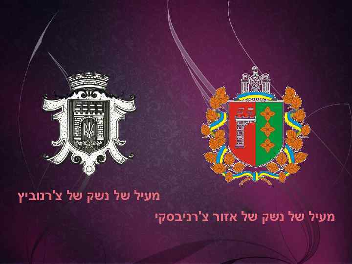  מעיל של נשק של צ'רנוביץ מעיל של נשק של אזור צ'רניבסקי 