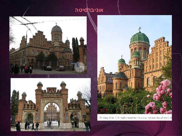  אוניברסיטה 