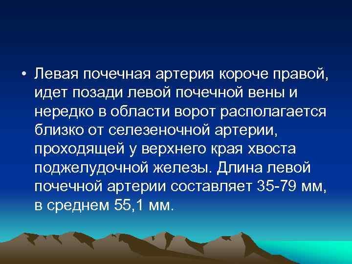  • Левая почечная артерия короче правой, идет позади левой почечной вены и нередко