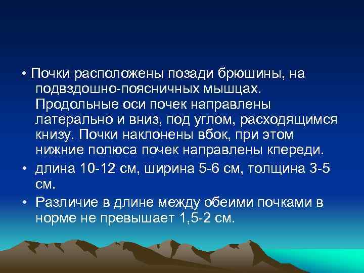  • Почки расположены позади брюшины, на подвздошно-поясничных мышцах. Продольные оси почек направлены латерально