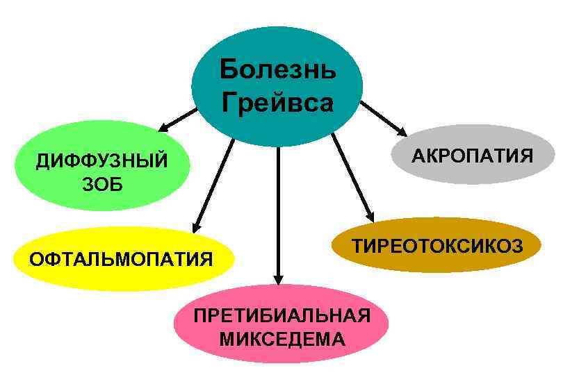 Болезнь Грейвса АКРОПАТИЯ ДИФФУЗНЫЙ ЗОБ ОФТАЛЬМОПАТИЯ ТИРЕОТОКСИКОЗ ПРЕТИБИАЛЬНАЯ МИКСЕДЕМА 