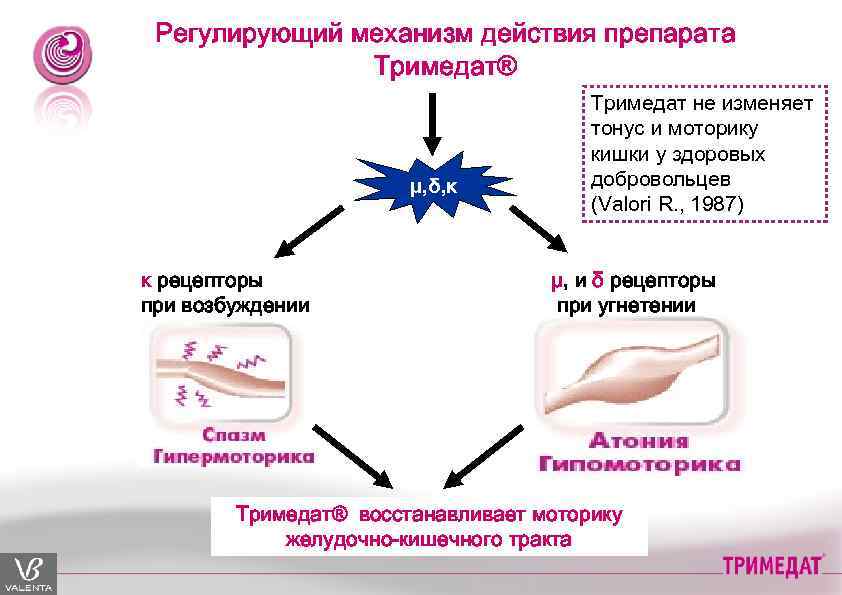 Регулирующий механизм действия препарата Тримедат® µ, δ, κ κ рецепторы при возбуждении Тримедат не