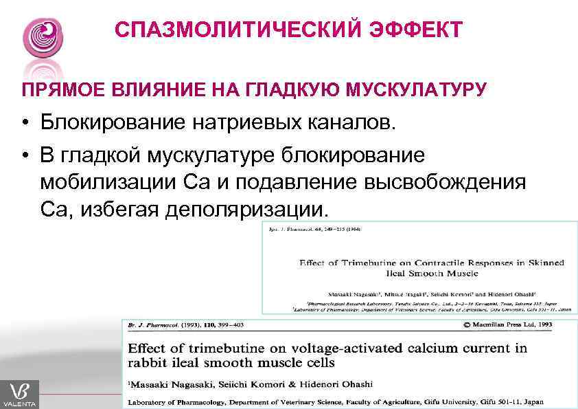 СПАЗМОЛИТИЧЕСКИЙ ЭФФЕКТ ПРЯМОЕ ВЛИЯНИЕ НА ГЛАДКУЮ МУСКУЛАТУРУ • Блокирование натриевых каналов. • В гладкой