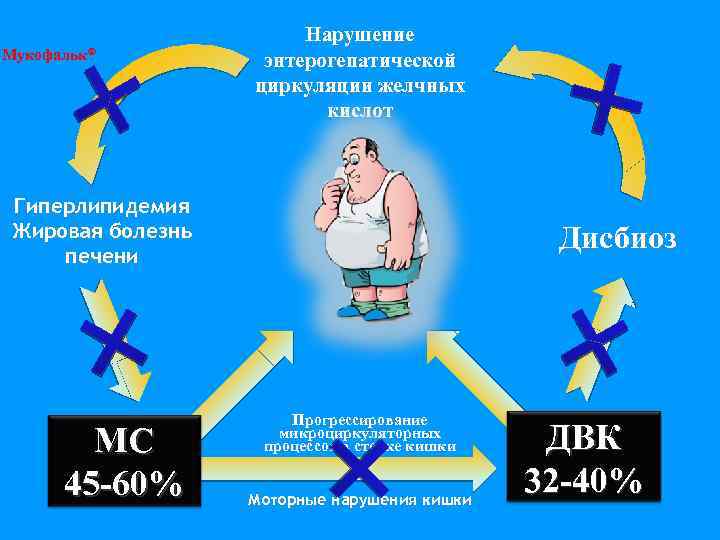 Мукофальк® Нарушение энтерогепатической циркуляции желчных кислот Гиперлипидемия Жировая болезнь печени МС 45 -60% Дисбиоз