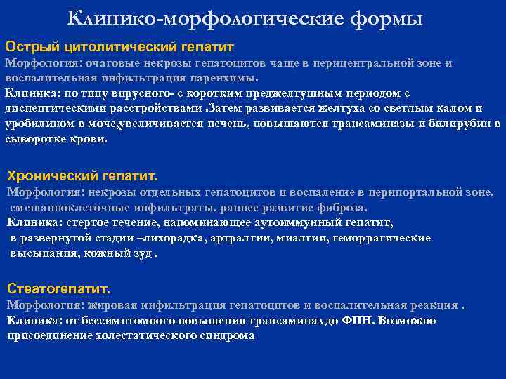 Клинико-морфологические формы Острый цитолитический гепатит Морфология: очаговые некрозы гепатоцитов чаще в перицентральной зоне и