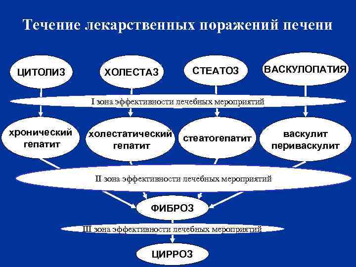 Течение лекарственных поражений печени ЦИТОЛИЗ ХОЛЕСТАЗ СТЕАТОЗ ВАСКУЛОПАТИЯ I зона эффективности лечебных мероприятий хронический