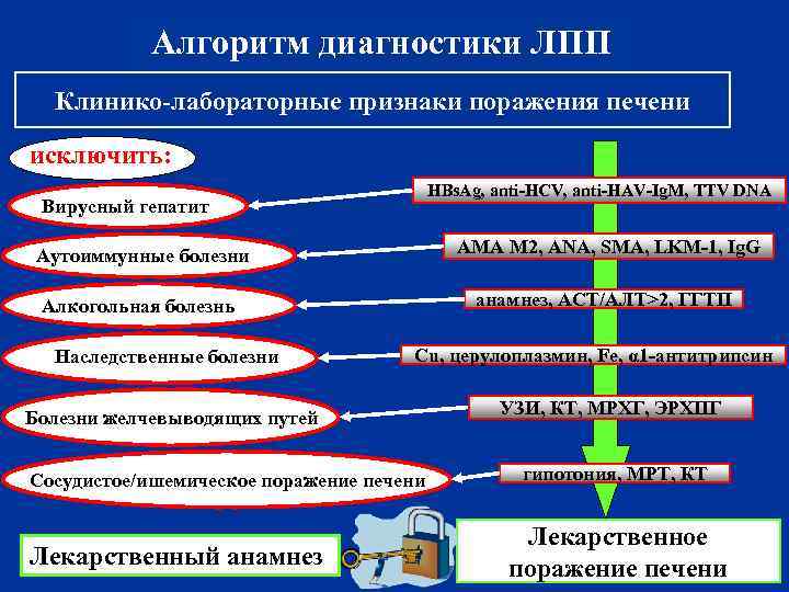 Алгоритм диагностики ЛПП Клинико-лабораторные признаки поражения печени исключить: HBs. Ag, anti-HCV, anti-HAV-Ig. M, TTV