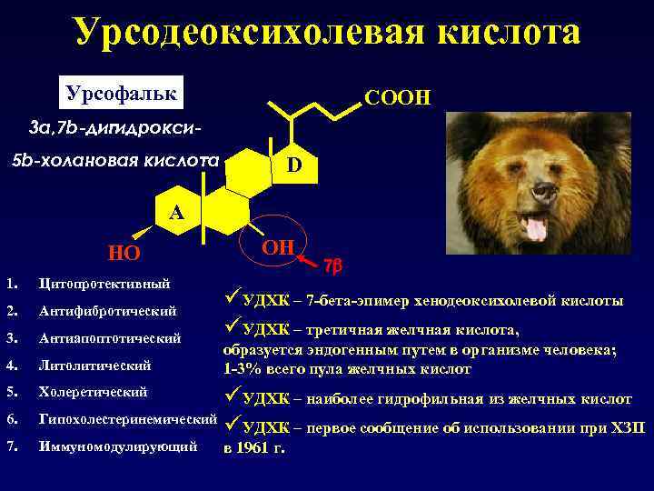 Урсодеоксихолевая кислота Урсофальк СOOH 3 a, 7 b-дигидрокси 5 b-холановая кислота D А HO