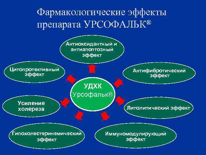 Фармакологические эффекты препарата УРСОФАЛЬК® Антиоксидантный и антиапоптозный эффект Цитопротективный эффект Антифибротический эффект УДХК Урсофальк®