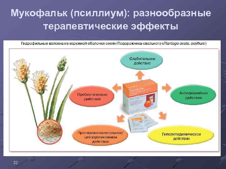 Мукофальк (псиллиум): разнообразные терапевтические эффекты 22 