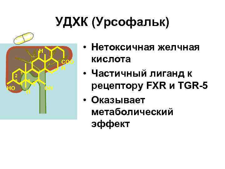 УДХК (Урсофальк) H 2 3 HO COO H 1 4 5 H 6 7