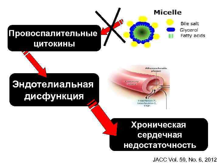 Провоспалительные цитокины Эндотелиальная дисфункция Хроническая сердечная недостаточность JACC Vol. 59, No. 6, 2012 