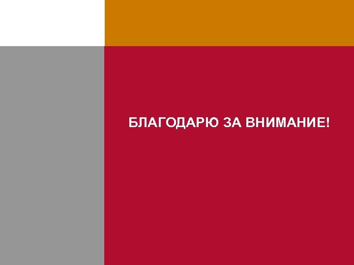 БЛАГОДАРЮ ЗА ВНИМАНИЕ! 