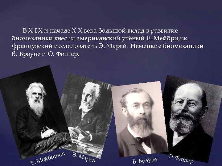 В X I X и начале X X века большой вклад в развитие биомеханики