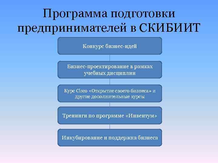 Программа подготовки предпринимателей в СКИБИИТ Конкурс бизнес-идей Бизнес-проектирование в рамках учебных дисциплин Курс Cisco