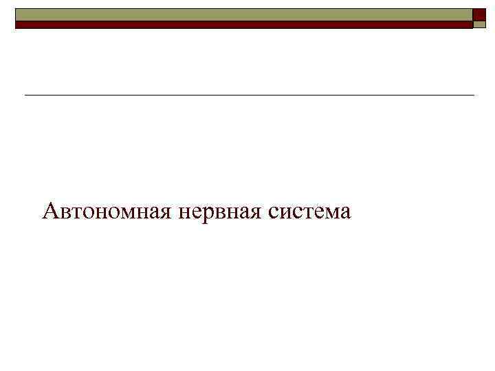 Автономная нервная система 