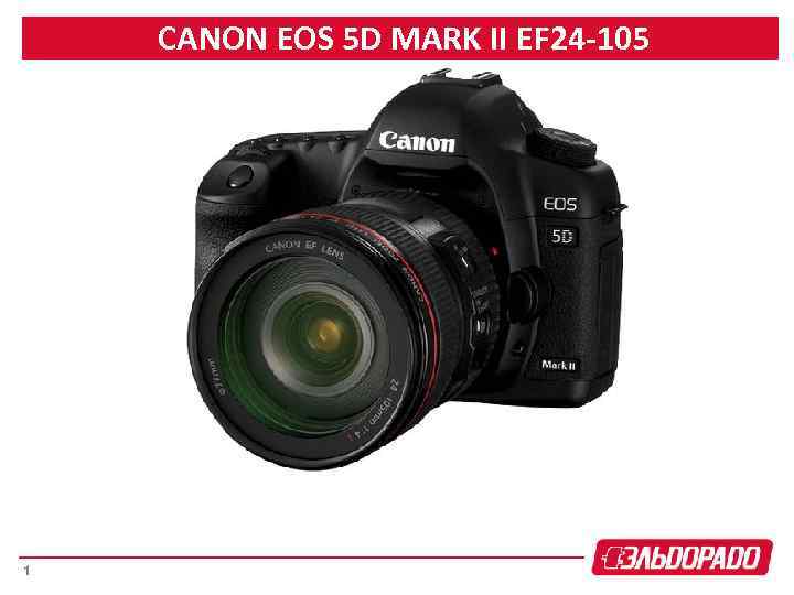 CANON EOS 5 D MARK II EF 24 -105 1 
