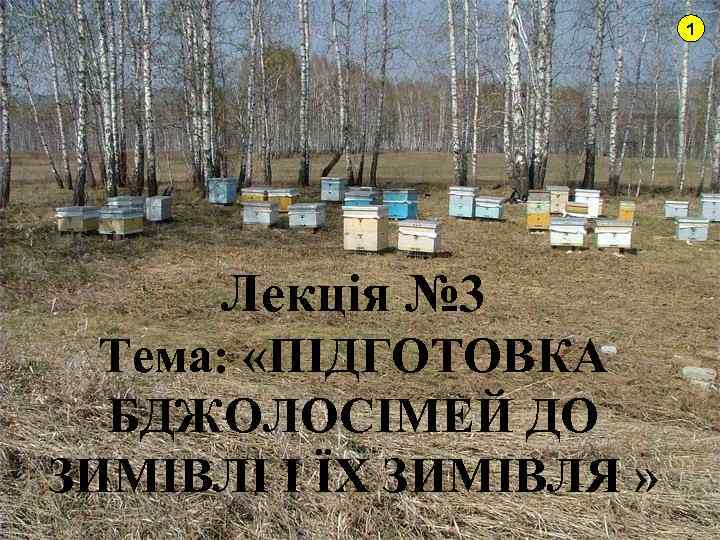 1 Лекція № 3 Тема: «ПІДГОТОВКА БДЖОЛОСІМЕЙ ДО ЗИМІВЛІ І ЇХ ЗИМІВЛЯ » 