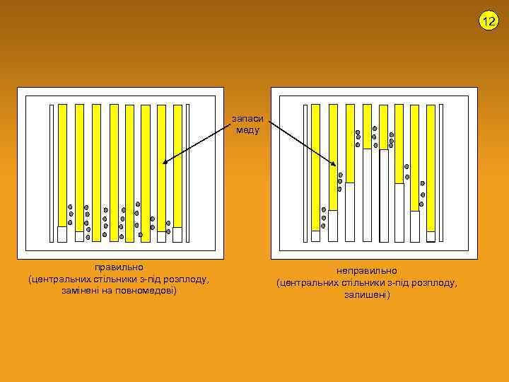12 запаси меду правильно (центральних стільники з-під розплоду, замінені на повномедові) неправильно (центральних стільники