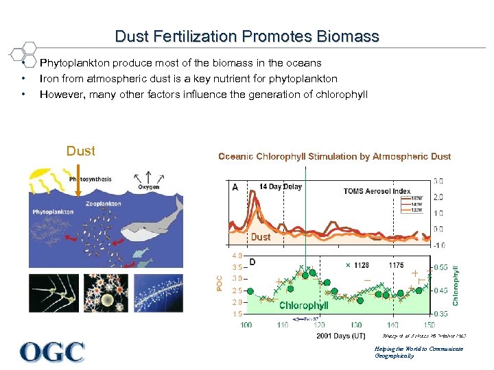 Dust Fertilization Promotes Biomass • • • Phytoplankton produce most of the biomass in