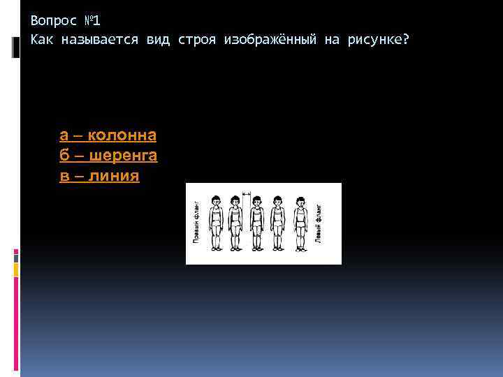 Как называется вид строя изображенный на рисунке