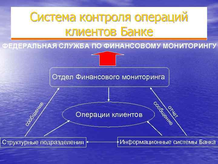 Система контроля операций клиентов Банке ФЕДЕРАЛЬНАЯ СЛУЖБА ПО ФИНАНСОВОМУ МОНИТОРИНГУ Отдел Финансового мониторинга ие