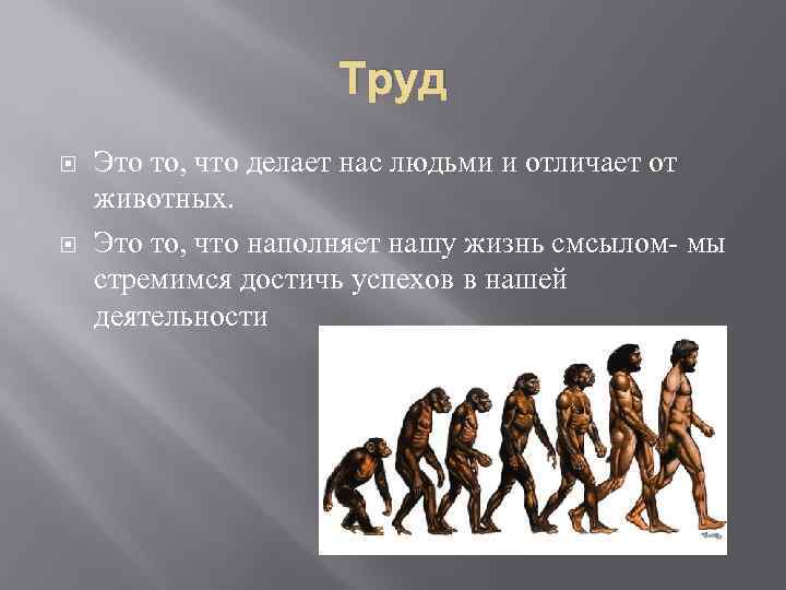 Труд Это то, что делает нас людьми и отличает от животных. Это то, что