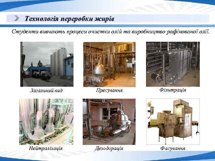 Технологія переробки жирів Студенти вивчають процеси очистки олій та виробництво рафінованої олії. Загальний вид