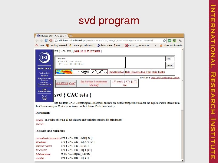 svd program 