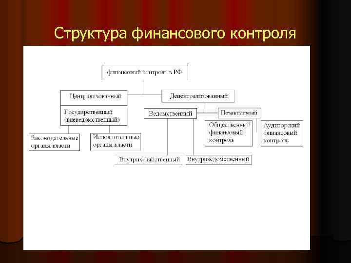 Представления органов финансового контроля