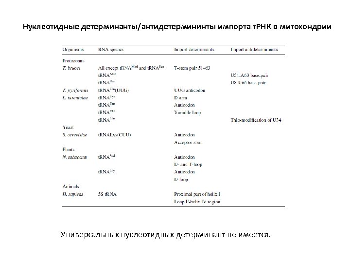 Нуклеотидные детерминанты/антидетермининты импорта т. РНК в митохондрии Универсальных нуклеотидных детерминант не имеется. 