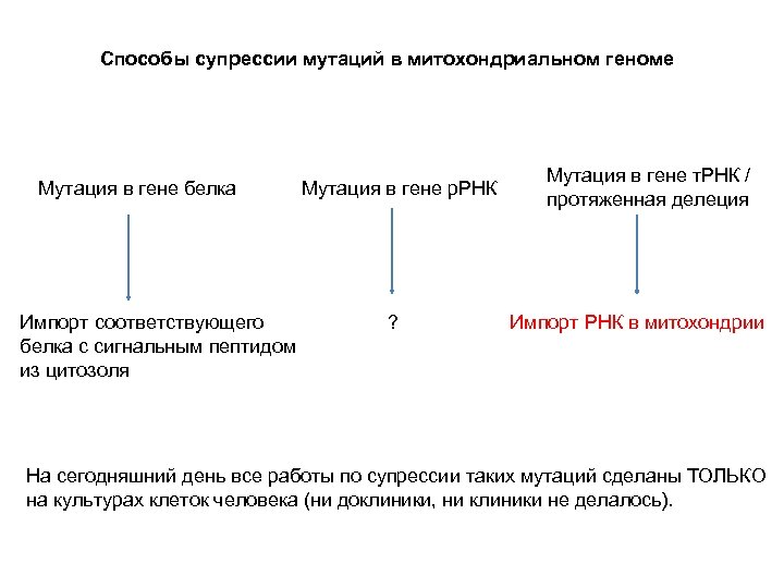 Способы супрессии мутаций в митохондриальном геноме Мутация в гене белка Импорт соответствующего белка с