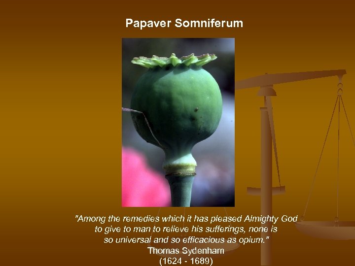 Papaver Somniferum "Among the remedies which it has pleased Almighty God to give to