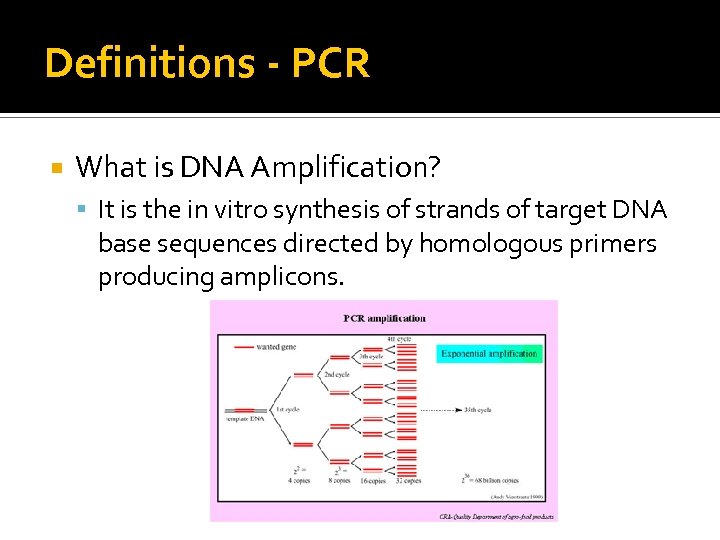 Definitions - PCR What is DNA Amplification? It is the in vitro synthesis of