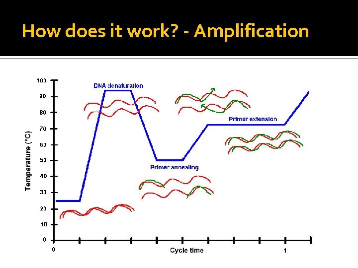 How does it work? - Amplification 