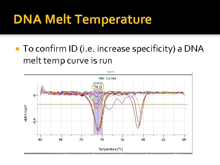 DNA Melt Temperature To confirm ID (i. e. increase specificity) a DNA melt temp