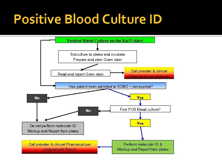 Positive Blood Culture ID Positive Blood Culture on the Bac. T/Alert Subculture to plates