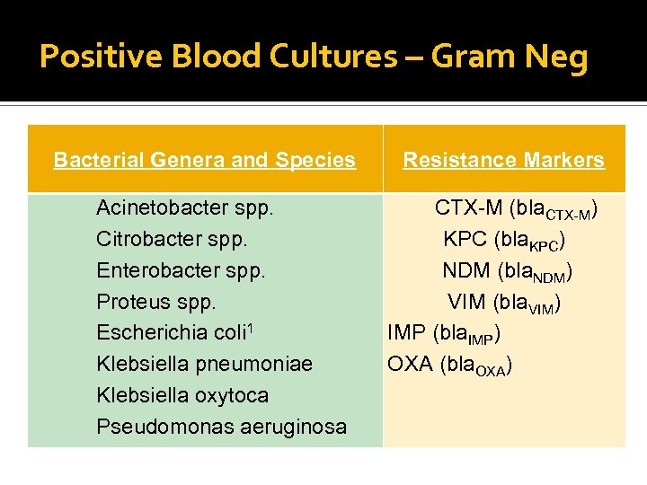 Positive Blood Cultures – Gram Neg Bacterial Genera and Species Acinetobacter spp. Citrobacter spp.