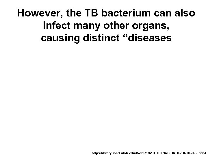 However, the TB bacterium can also Infect many other organs, causing distinct “diseases http: